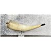 Image 2 : Black Powder Rendezvous Powder Horn