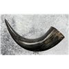 Image 1 : Black Powder Rendezvous Buffalo Powder Horn
