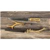 German Stag Horn Handle Carving Set