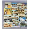 Image 2 : Collection Of Yellowstone Park Cowboy Postcards