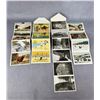 Image 4 : Collection Of Yellowstone Park Cowboy Postcards