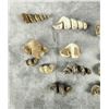 Image 2 : Group Of Turritella Snail Shell Fossils