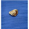 Image 1 : Rough Natural Baltic Amber Specimen