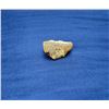 Image 2 : Rough Natural Baltic Amber Specimen