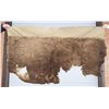 Image 1 : Native American Indian Buffalo Hide Robe Remnant