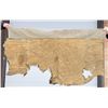 Image 2 : Native American Indian Buffalo Hide Robe Remnant