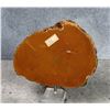 Image 2 : Large Polished Laguna Agate Paperweight