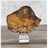 Image 1 : Agatized Fossil Dinosaur Bone Slab Paperweight