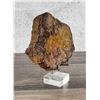 Image 3 : Agatized Fossil Dinosaur Bone Slab Paperweight