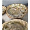 Image 2 : Abalone Sea Shells