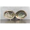 Image 1 : Large Abalone Sea Shells