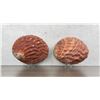 Image 2 : Large Abalone Sea Shells