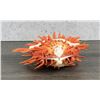 Image 3 : Spiny Oyster Sea Shell