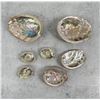 Image 1 : Abalone Sea Shells