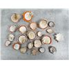 Image 2 : Collection of Spiny Oyster Sea Shells