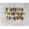 Image 1 : Antique Inuit Eskimo Found Fossilized Walrus Teeth