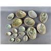 Image 1 : Abalone Sea Shells