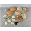 Image 2 : Abalone Sea Shells