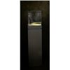 Image 1 : Locking Lighted Pedestal Showcase