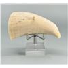 Image 2 : Alaskan Inuit Eskimo Scrimshaw Whale Tooth