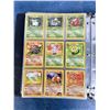 Image 13 : Binder of 384 WOTC Pokemon Cards