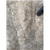 Image 3 : Large Taxidermy Montana Buffalo Hide Robe Rug