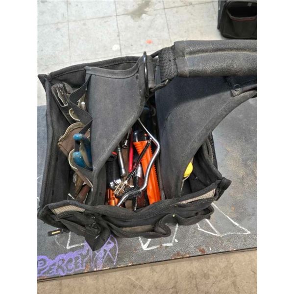 tool pouch including contents