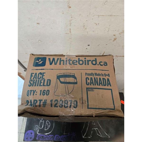 case of face shields