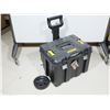 Image 1 : COFFRE DEWALT (PNEU ENDOMMAGÉ)