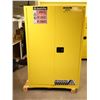 Image 1 : ARMOIRE POUR LES PRODUIT INFLAMABLE JUSTRITE   (ENDOMMAGÉ)