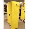 Image 2 : ARMOIRE POUR LES PRODUIT INFLAMABLE JUSTRITE   (ENDOMMAGÉ)