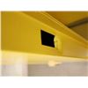Image 8 : ARMOIRE POUR LES PRODUIT INFLAMABLE JUSTRITE   (ENDOMMAGÉ)