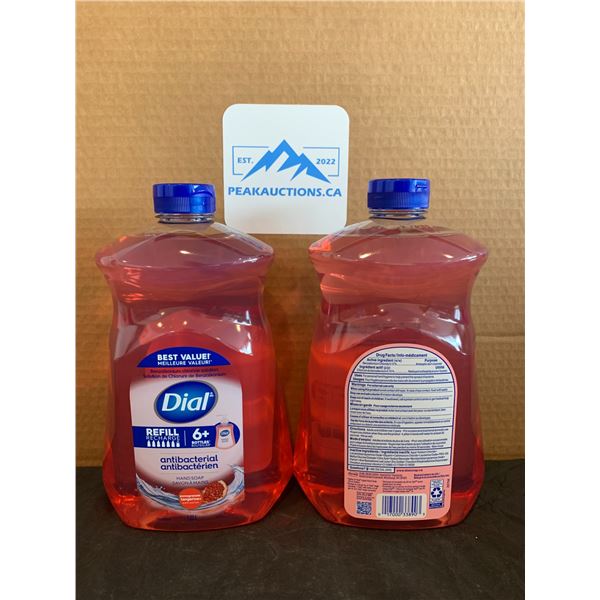 Pack Of 2 Dial Antibacterial Hand Soap Refills Pomegranate Tangerine Scent