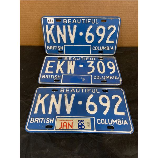 Lot of 3 British Columbia License Plates