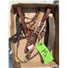 Image 2 : Misc. bridle, chin straps