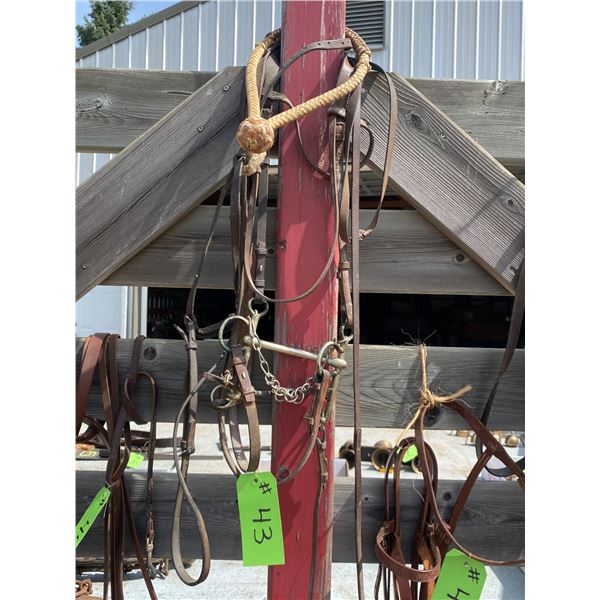 Complete Bridle (brown)