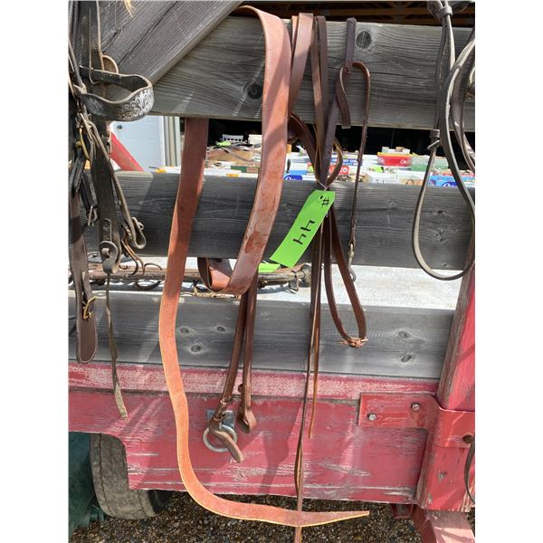 Bridle lines (brown)