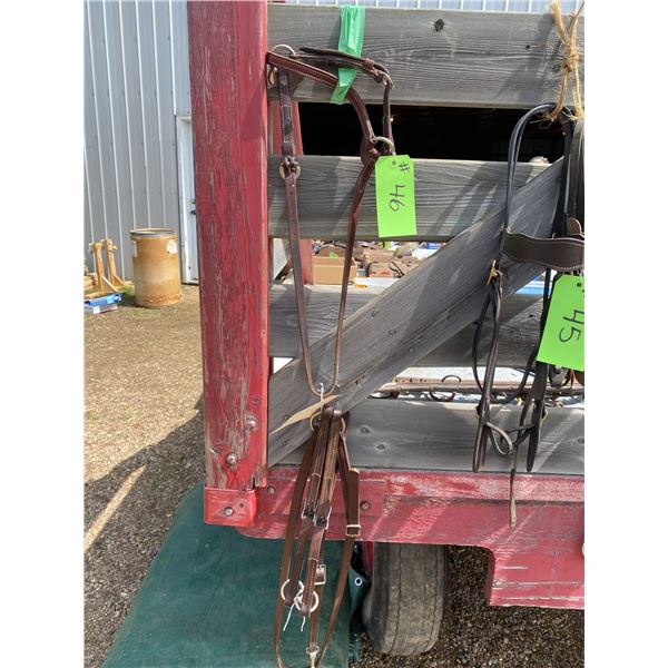 Vic Bennett nose band & Running Martingale