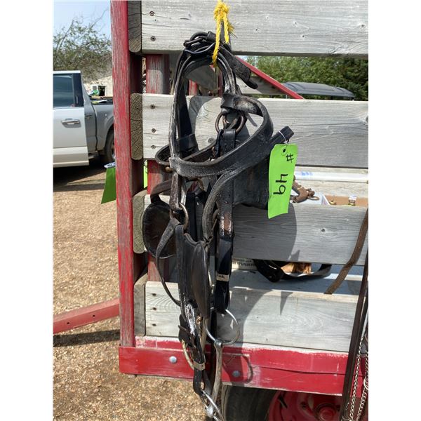 2- Work harness bridles