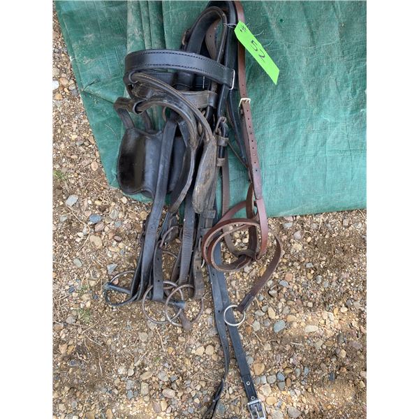 Bridle with blinders  & tie down
