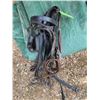 Image 2 : Bridle with blinders  & tie down