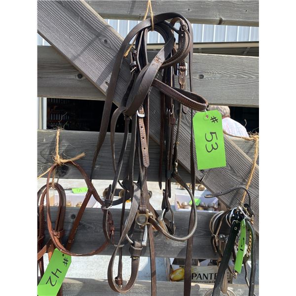 Bridle complete with lines (brown)