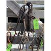 Image 1 : Bridle complete with lines (brown)