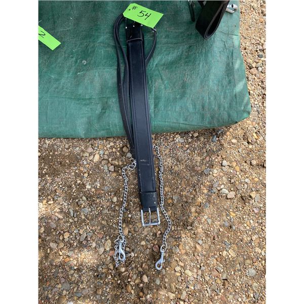 Fancy leather tie down