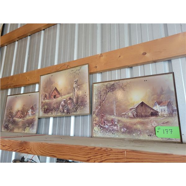 3- Framed pictures