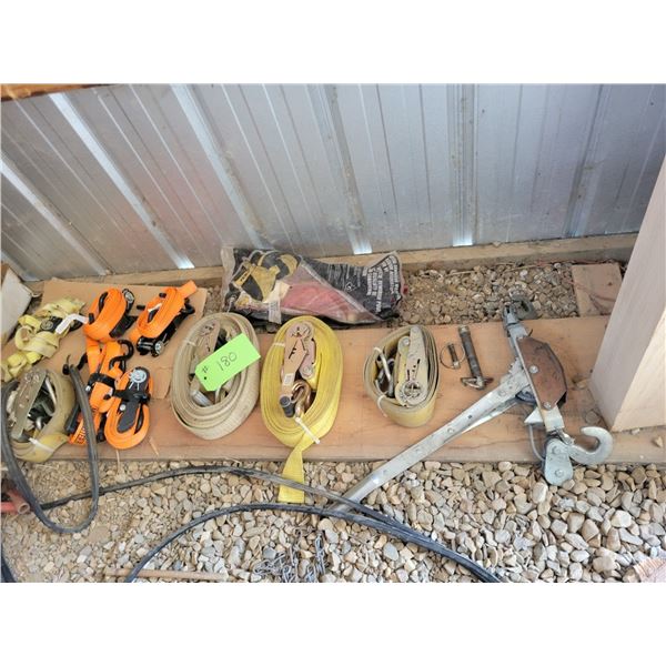 Approx. 9- ratchet straps, come-a-long pins & recreational rope