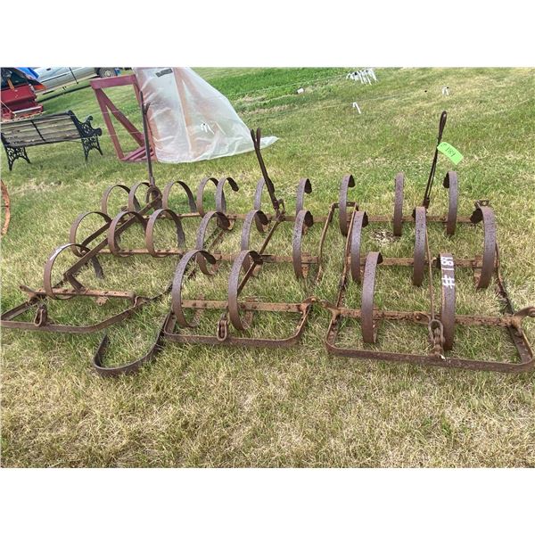 Spring tooth harrows