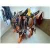 Image 1 : A Fancy harness set c/w rolling stands & scotch tops