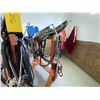 Image 7 : A Fancy harness set c/w rolling stands & scotch tops
