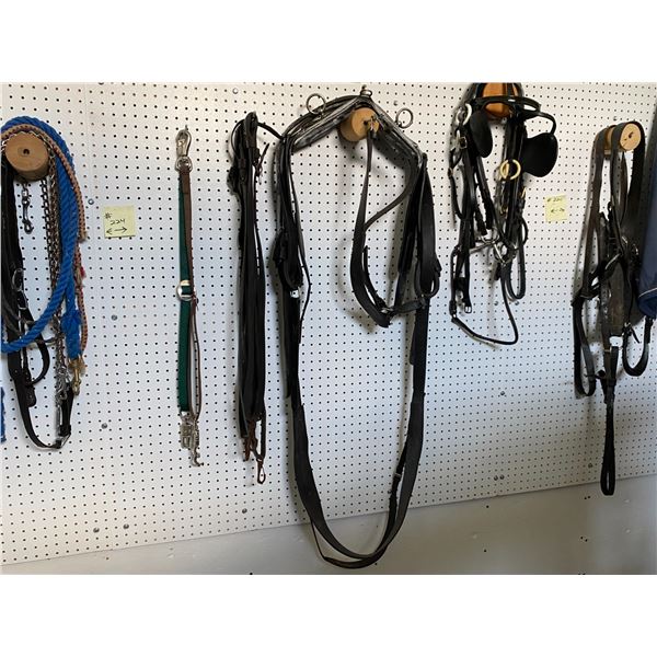 Rope, leads, leather snap-ons, light horse harness, handy horse bridle, parts of a light horse harne